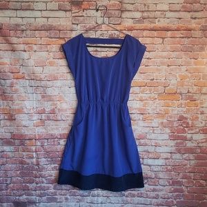 Pink rose blue pocketed dress